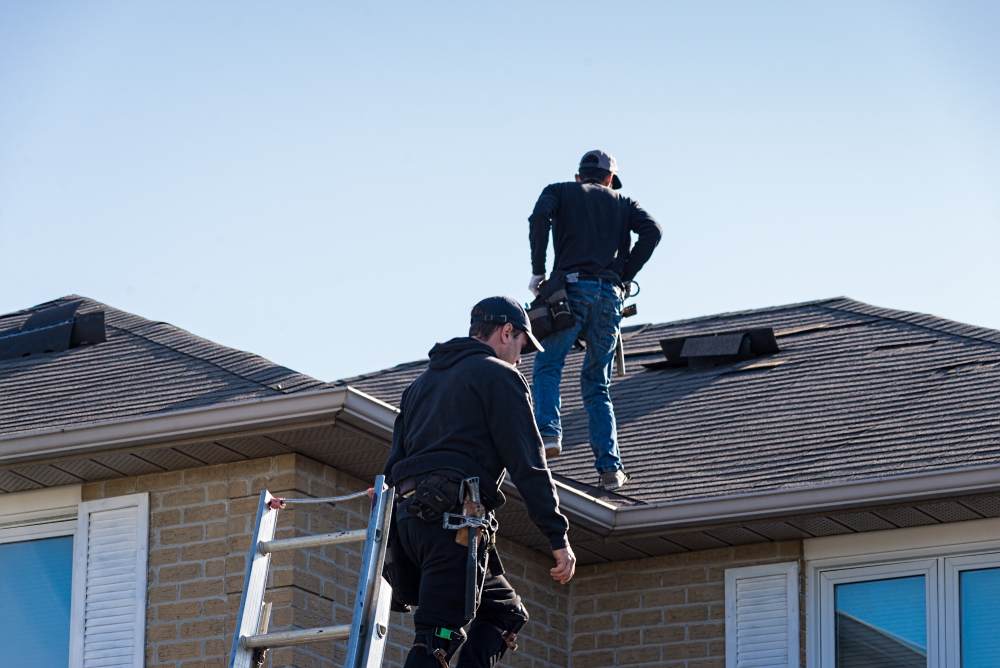 Men checking roofing system